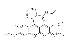 罗丹明6g/碱性红1/玫瑰红6g